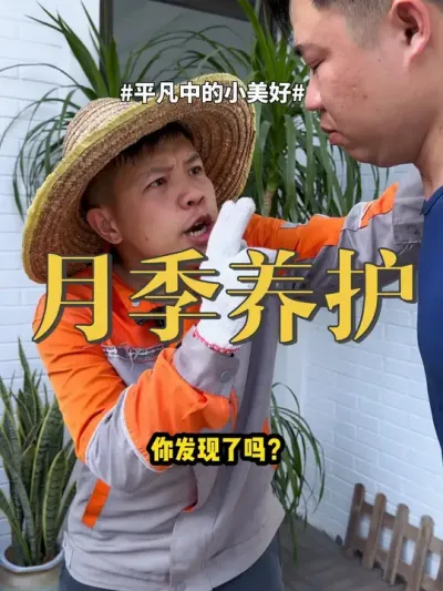 月季养护 #月季 #养花 #兰花 这就是为什么养不好月季的原因，你就这样去解决