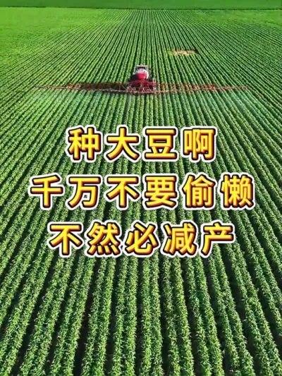 勤劳的农民们，想种出高产大豆，就先听听我的建议 #热点 #田间地头走一走 #田间地头就是我的舞台 #高产 #产量特别高
