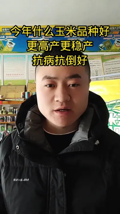 #农资肥料 #新农人计划 #分享农业知识帮农民增产增收 #病虫害防治 #高产玉米种子