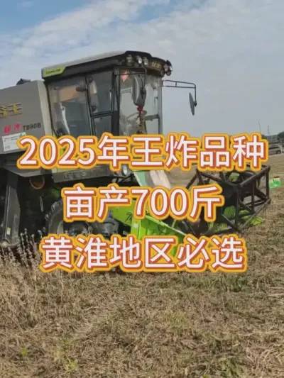 这片土地上的大豆产量惊人，仿佛大地在诉说着它的慷慨与丰收 #服务三农支持三农 #抖音助农 #优质农产品 #产量特别高 #种子