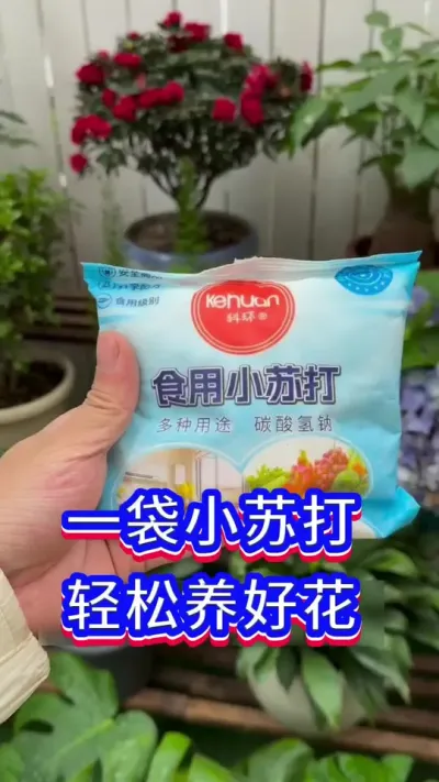 家庭养花小技巧#养花小知识 #爱生活爱养花 #花卉绿植