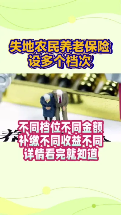 失地保险具体分档