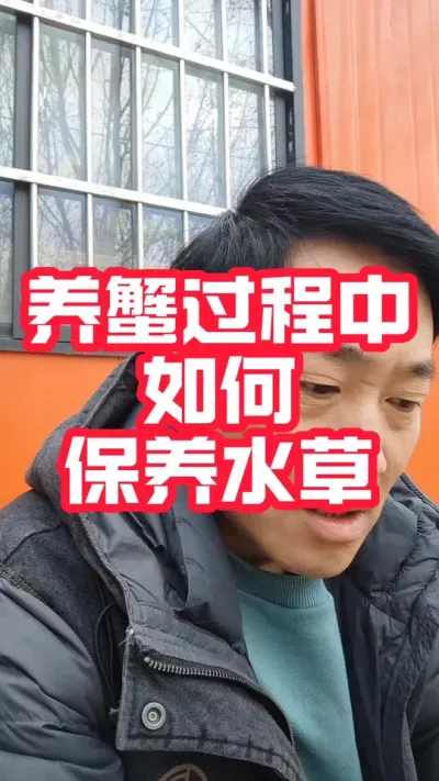 养蟹过程中如何保养水草#河蟹养殖 #螃蟹养殖 #大闸蟹养殖 #养蟹 #抖音助农
