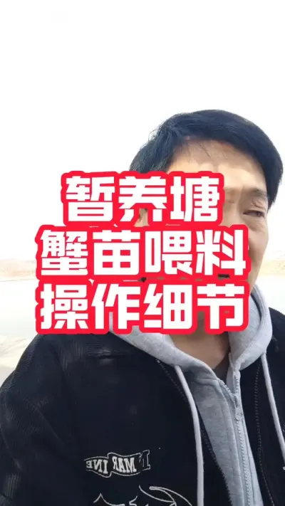 暂养塘蟹苗投喂注意事项！#螃蟹养殖 #大闸蟹养殖 #河蟹养殖 #大闸蟹#抖音助农