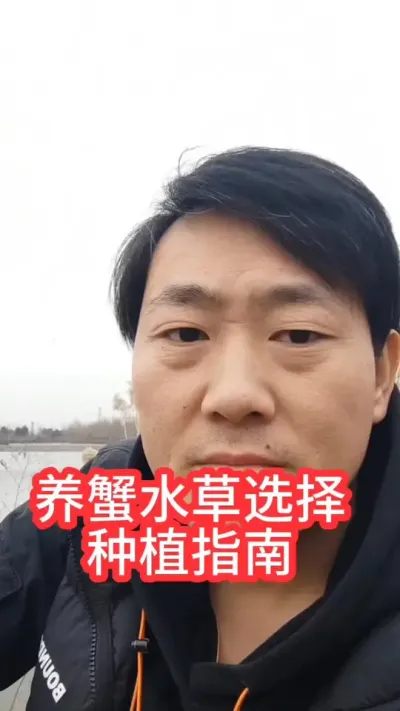 一寸草一寸金，蟹塘种草选择指南！#大闸蟹养殖 #螃蟹养殖 #河蟹养殖 #抖音助农 #鱼虾蟹养殖