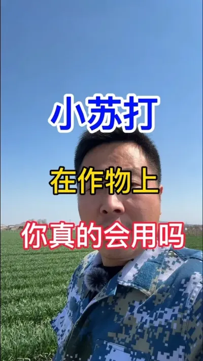 #蔬菜种植 #辣椒种植 #蔬菜大棚 #种菜口诀 #种植技巧