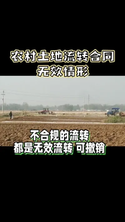 四种合同无效