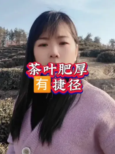 #服务三农支持三农 #分享农业知识帮农民增产增收 #春茶采摘 #茶树种植技术与管理 #叶面肥这样用更高产