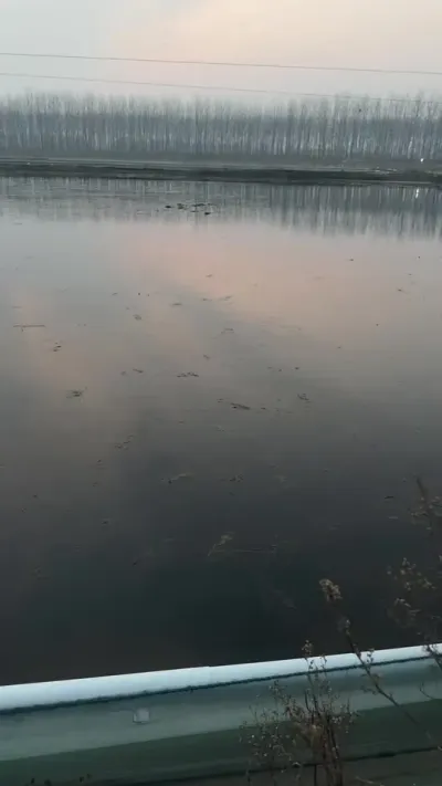 卖草了#螃蟹养殖基地 #大闸蟹养殖 #水产养殖