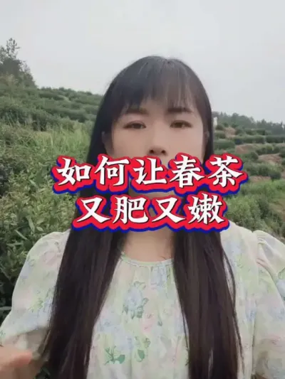#抖音支持三农扶持三农发展#茶树种植技术与管理 #春茶 #召唤茶友