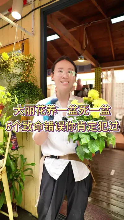 大丽花养一盆死一盆，六个致命错误你肯定犯过#养花小知识 #大丽花#养花人的乐趣 #大丽花养护 #花卉绿植