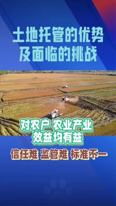 土地托管（四）