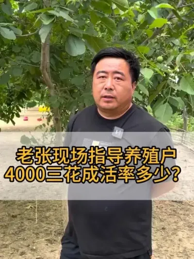 #三农 #每天分享养殖技术和经验 #抖音助农 #养鹅人