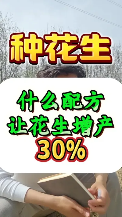 是什么配方能让花生增产30%呢？#花生高产 #花生种植 #种花生 #花生高产种植 #花生种植管理技术