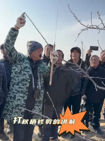 #新农人计划2025 #苹果树修剪 #农业技术推广 #果树管理技术 #病虫害防治
