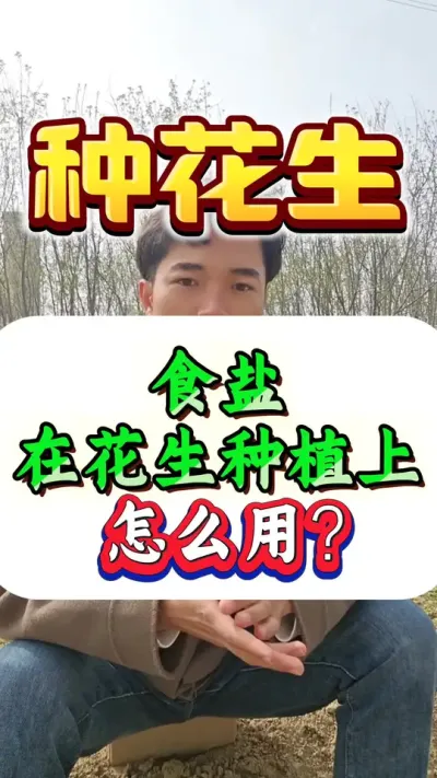都说一亩花生一袋儿盐，花生多的摘不完。那食盐到底在花生上有什么用处？又怎么用呢？