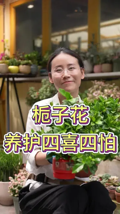 栀子花养护的四喜四怕#栀子花养护 #栀子花 #养护小知识 #养花小知识 #花卉绿植