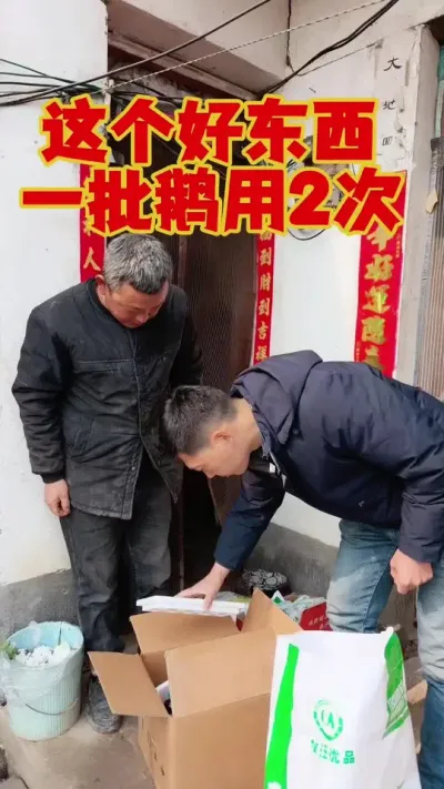 这是个好东西，一批鹅用2次就行了！#养鹅 #养鹅技术分享 #科学养鹅 #狮头鹅