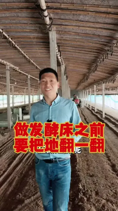 做发酵床之前，要把地先翻一翻！#狮头鹅 #鹅苗 #养鹅 #养鹅人 #养鹅技术