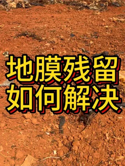 地膜残留怎么办#农业种植 #红薯种植#三农 #抖音助农 #生态农业