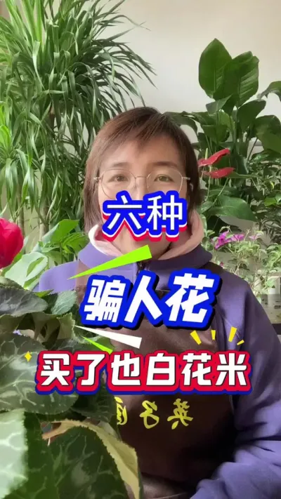 6中坑人花#花卉绿植 #养花小知识 #养花人的乐趣