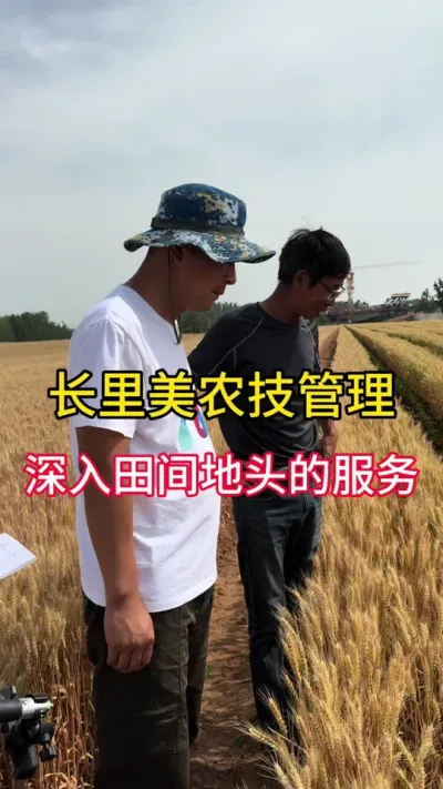 农技服务 解决问题 增产增收#三农流量扶持计划