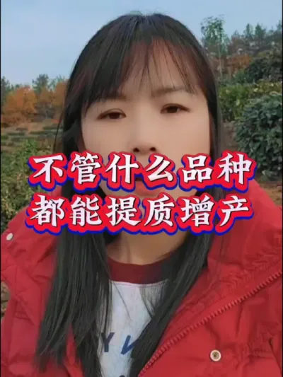 #服务三农支持三农 #茶 #茶树种植技术与管理 #叶面肥这样用更高产 #芽丰香