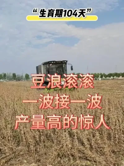想种高产大豆吗，来我的主页看一看吧 #产量特别高 #服务三农支持三农 #抖音助农 #田间地头走一走