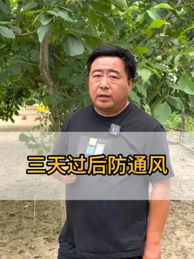 #三农 #养鹅技术分享 #干货分享