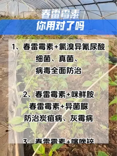 春雷霉素你用对了吗 #三农 #农业种植技术 #分享农业小知识