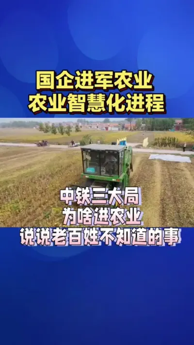 为啥大型国企都进军农业了？