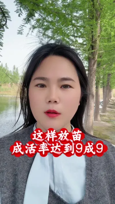 放苗成活率9成9#南美白对虾 #罗氏沼虾养殖 #青虾养殖