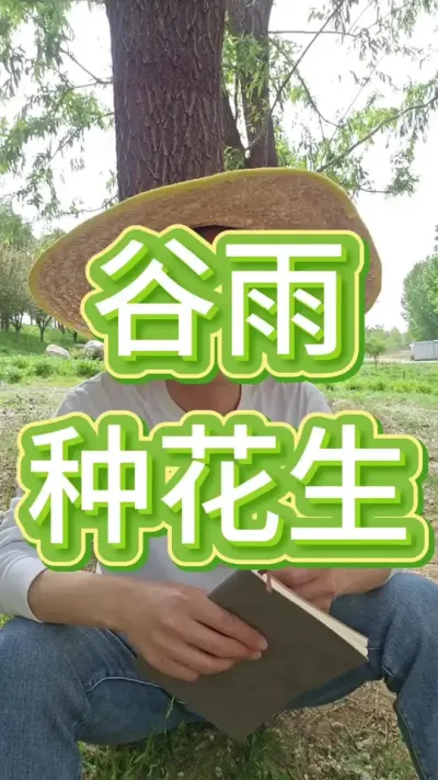 谷雨种花生#花生种植#花生高产#种花生 #花生种植管理技术 #花生高产种植