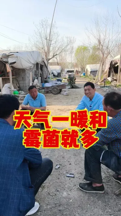 天气一暖和，霉菌就开始多了！#养鹅 #养鹅技术 #鹅苗 #狮头鹅 #科学养鹅