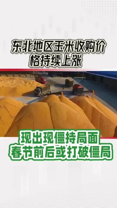 近日玉米价格详情