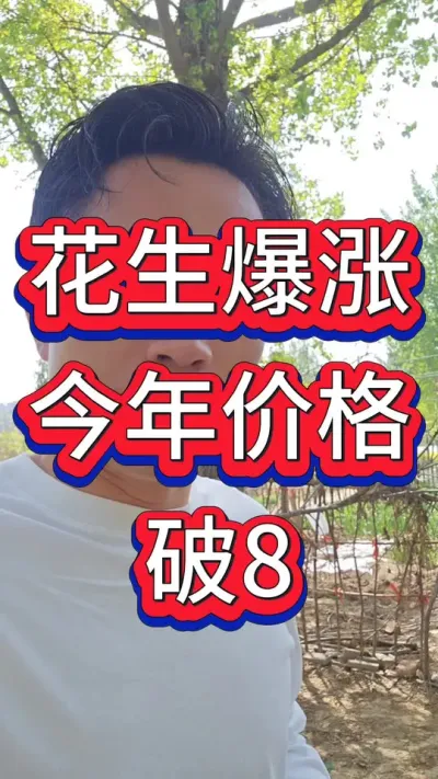 2025年花生价格能否破八？#花生种植 #花生高产 #种花生 #花生种植管理技术 #花生高产种植