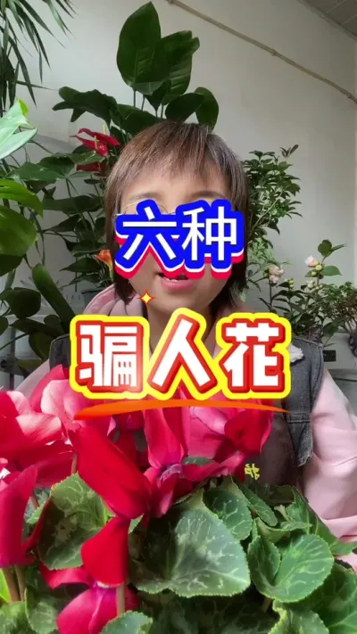 6种骗人的花#英子园艺 #三农 #桂花