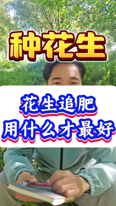 花生追肥用什么才最好？#花生种植#花生高产 #种花生 #花生种植管理技术 #花生高产种植