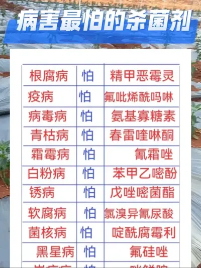 不同病害最怕的杀菌剂#分享农业知识帮农民增产增收 #农业种植技术 #三农