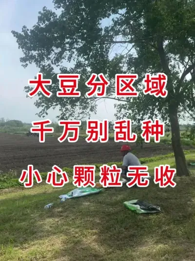 种大豆前必知！东北黄淮品种区别，选错亏大了！ #三农流量扶持计划 #抖音助农 #大豆种植 #农业种植技术 #三农小知识