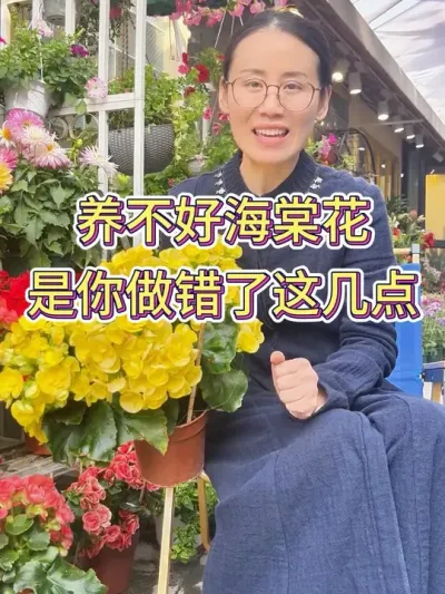 养不好海棠花，是你做错了这几点#海棠花 #花卉绿植 #海棠怎样养 #种植小技巧 #养花小知识
