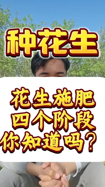 花生整个生长周期4个施肥阶段，您知道吗？#花生种植 #花生高产 #花生种植管理技术 #种花生 #花生管理