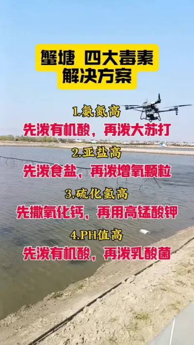 蟹塘毒素解决方案！#大闸蟹养殖#螃蟹养殖 #河蟹养殖#大闸蟹#抖音助农