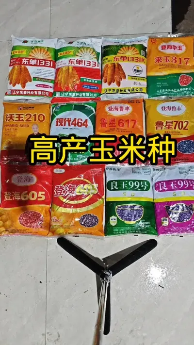 #高产玉米种子 #病虫害防治#农民种地不容易#抖音助农#