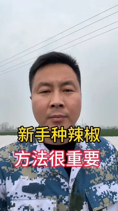 #辣椒种植 #河南dou知道 #云南 #海南dou知道 #新疆
