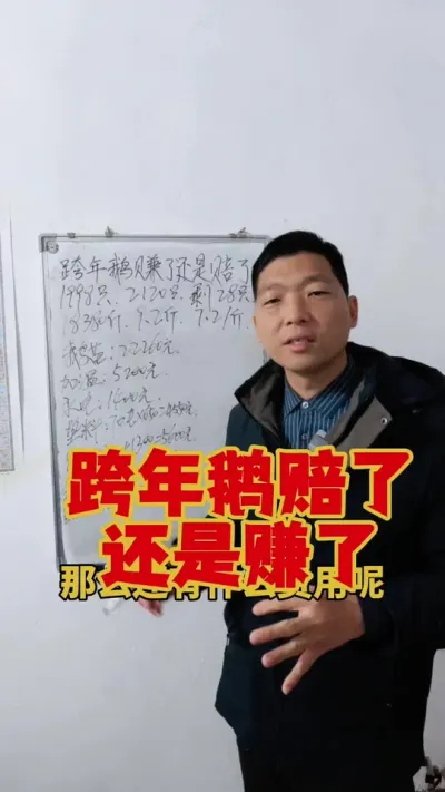 一起来算一下，这批跨年鹅，是赔了还是赚了！#养鹅 #鹅苗 #狮头鹅 #科学养鹅 #养鹅技术