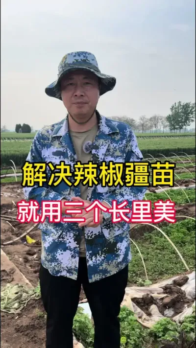 解决辣椒疆苗问题#辣椒种植 #高产线椒辣椒苗 #辣椒 #辣椒专用保花保果叶面肥 #增产增收小配方