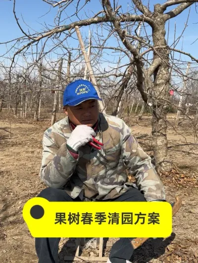 #新农人计划2025 #果树管理技术 #抖音助农 #病虫害防治 #农业技术推广