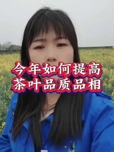 #服务三农支持三农 #茶树种植技术与管理 #春茶采摘 #助农增收