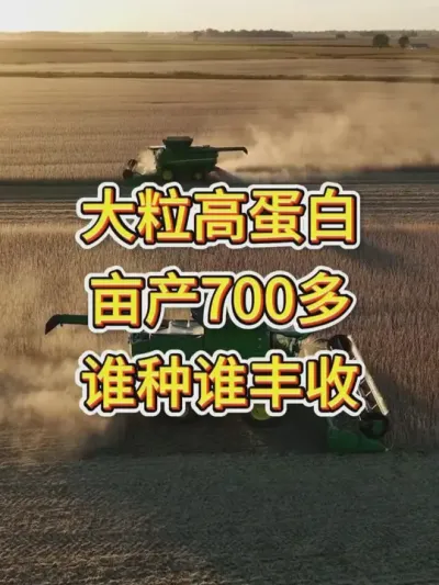 高产大豆，亩产700斤的大颗粒 #热点 #服务三农支持三农 #优质农产品 #产量特别高 #抖音助农